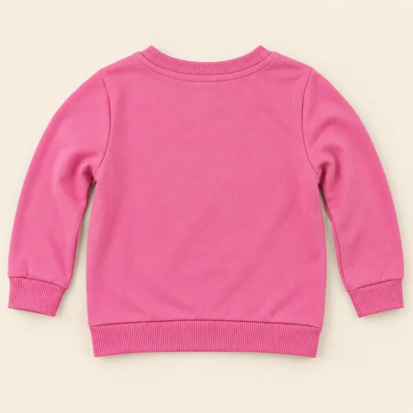 So Cute pink sweatshirt, baby size 9–12 months, back